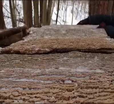 Building your first shelter be like