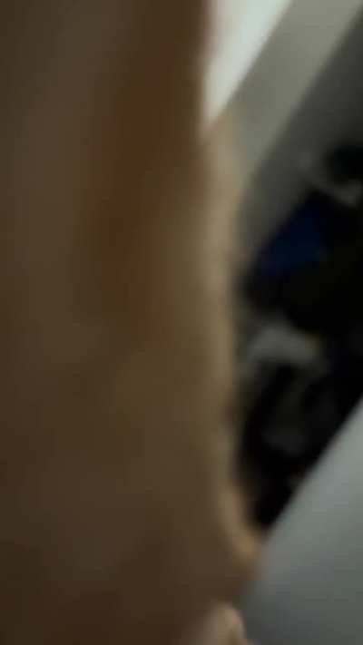 Not allowed to stop petting her