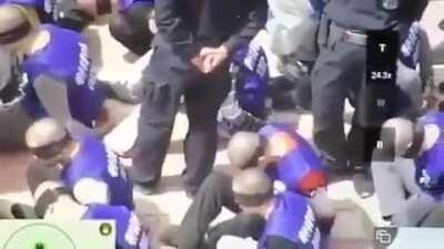 Here's drone footage of Reddit, Inc's biggest investor rounding up people for their religious beliefs