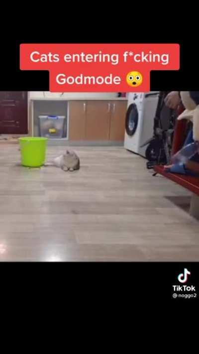 CTTO. Cats entering Godmode