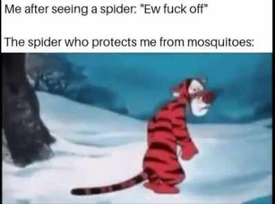 We must look after our protectors