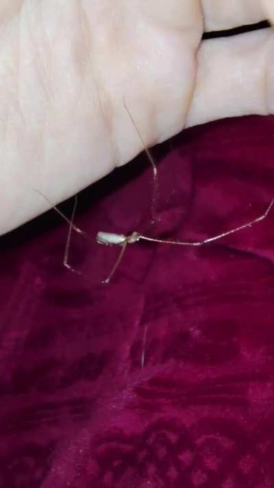 This looks like a good spot...