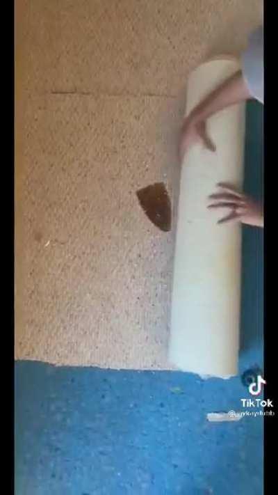 Now that's a lot of damage