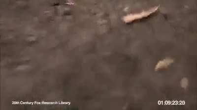 Sykkuno on his way to shoot everything