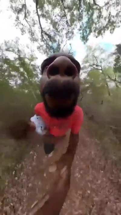 I don't know how to stop