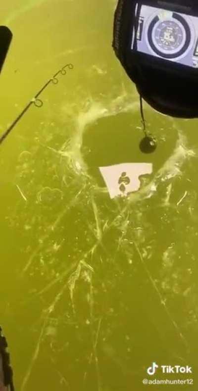 Might be a little early.