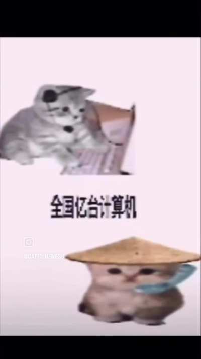 雾星咕影乱风泡夜鸣碎光啾