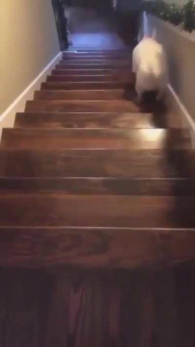 He checked out the landing, then absolutely sent it.