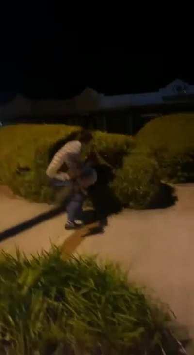 To Throw Dude In A Bush