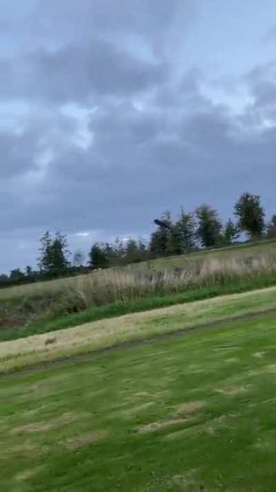 it flies really well