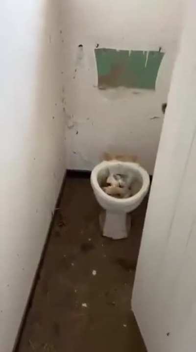 [As Received] SANDF Grahamstown 6SAI Military Base