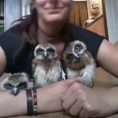 Working on the newest Synchonzation Program.