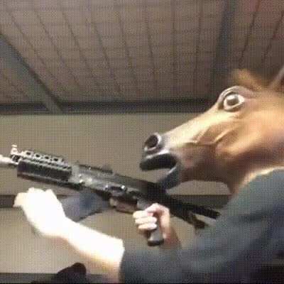 ARMED&DANGEROUS HORSE ON THE LOOSE, DECIMATE ON SIGHT‼️🆘🚨