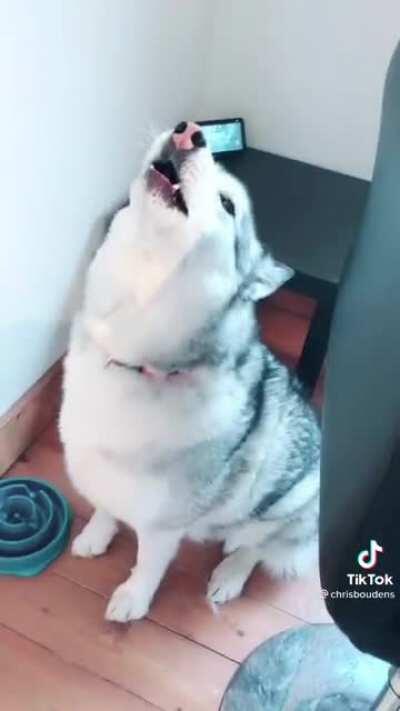 I felt as though this belonged here