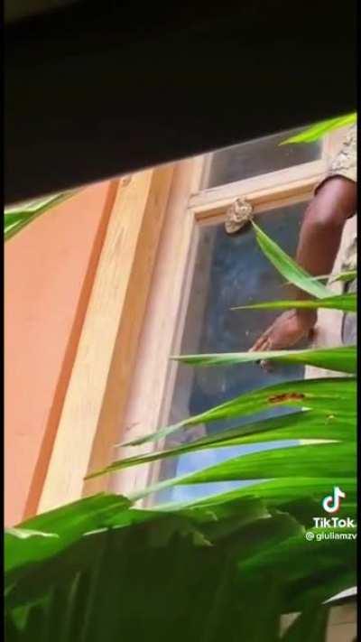 The way this man destroys a wasp nest