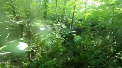 helmet cam footage of an American volunteer operating in Balakliya,Ukraine - with captions