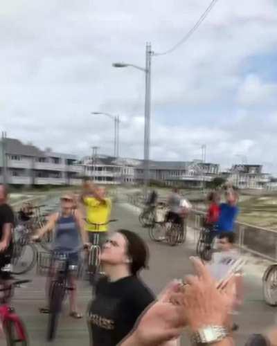 Giant Australian spider chased by curious tourists takes shelter on a building facade