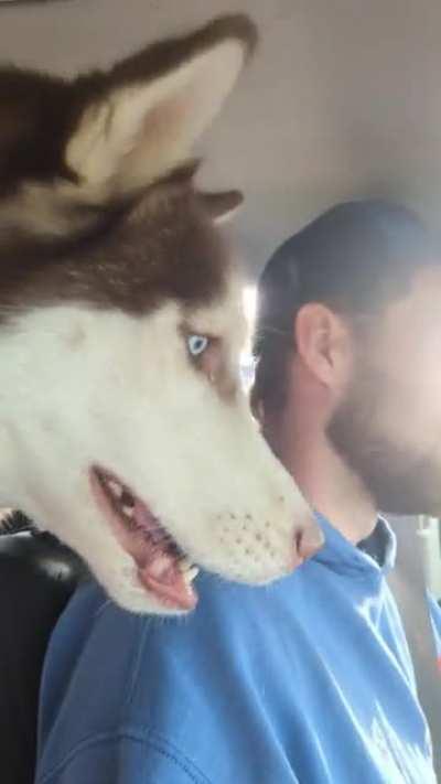 angry because we are obligated to stop at stop lights and the wind stops too.