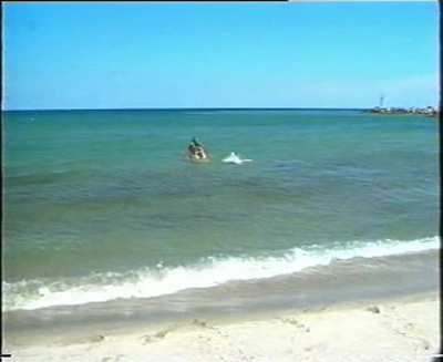 Parafotos - Mediterranean France Naturally (UK2001) (1/6) - Oasis Leucate - swim from boat