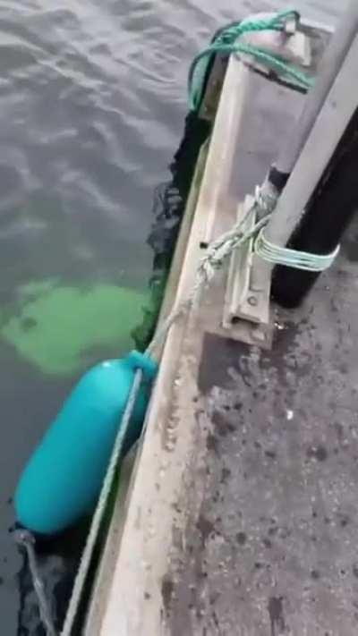 When u know you're fuged