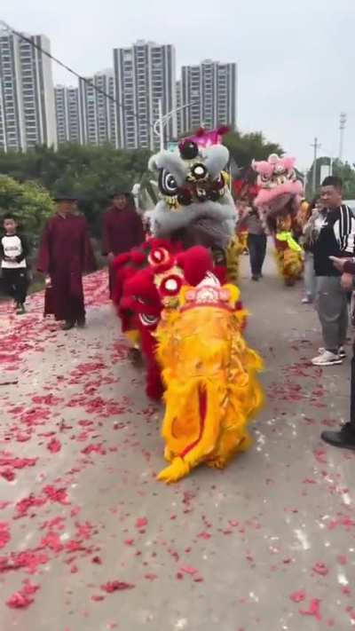 Kid dressed up as a Chinese dragon meets some grown up dragons
