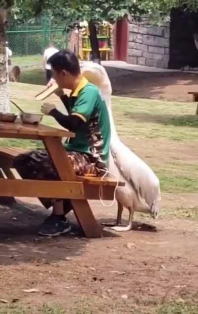 to eat someone’s food