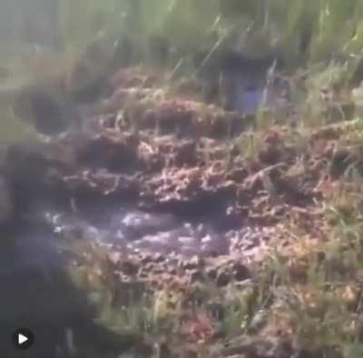 Rumor has it they're still down there to this day