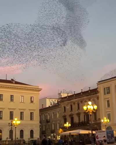 MAN CAPTURES STUNNING PHENOMENON KNOWN AS 'MURMURATION' IN ITALY
