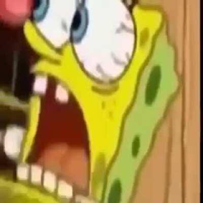 Esponja Bob em mamão