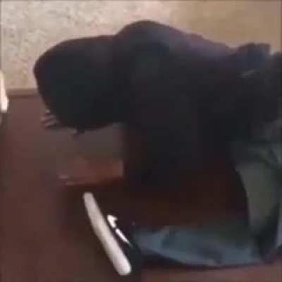 An interesting title