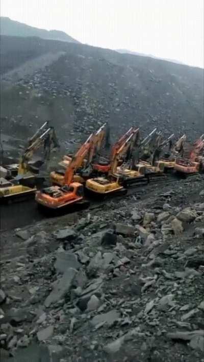 The rarely seen great CATERPILLAR migration.