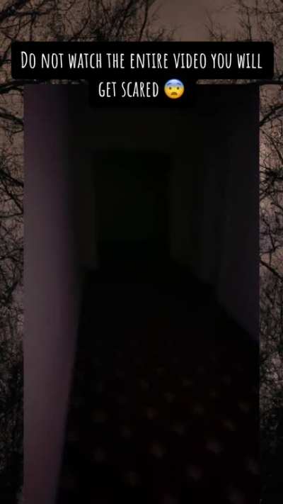 I basically pissed my pants 