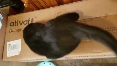 Down the chute he goes!