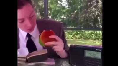 taylor swift fans checking out the rest of bon iver's discography for the first time