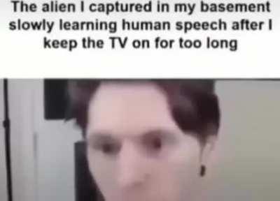 What sound does the dog make?