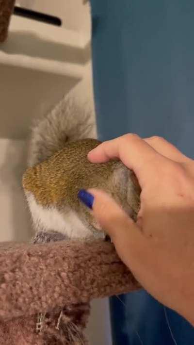 Theo’s pre-nap routine