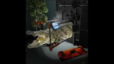 Thermal drillo coccodrilo 🥀🥀🥀