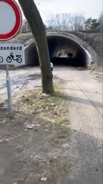 Fireworks in a tunnel creates a shockwave