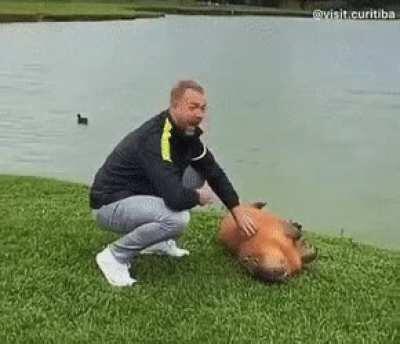 I don't know who's happier.