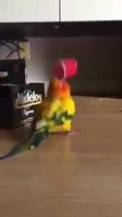 He was going to drink tequila