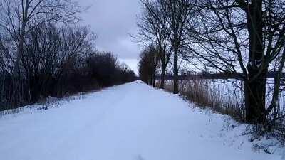 Ein paar Rehe im Schnee