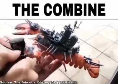 I think this belongs here