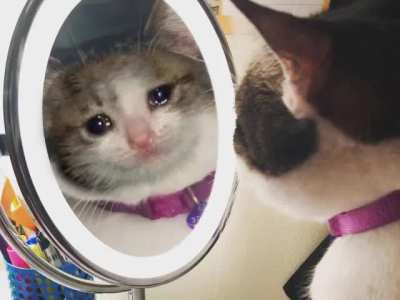 I don't have 12 brothers