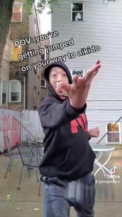 pov: you're getting jumped on the way to aikido