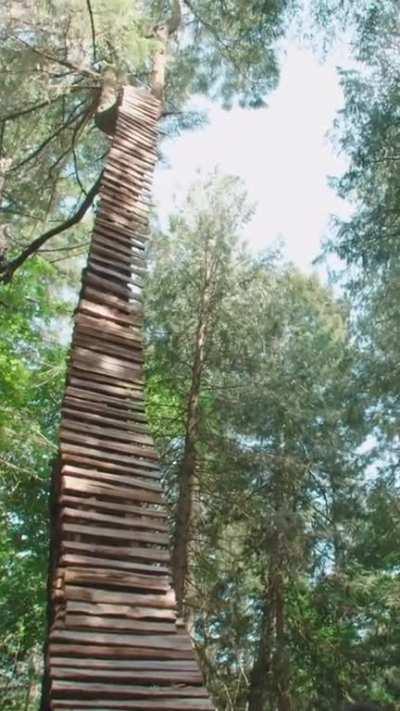 Nope, nope, nope. Jordie Lunn is a maniac. 