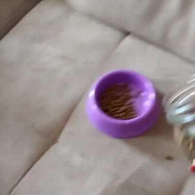 Food has its own sound