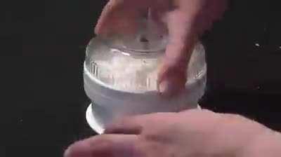 I am sorry (in advance)