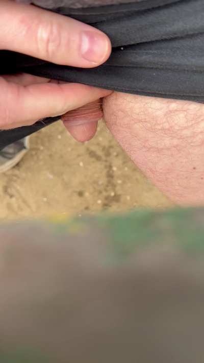 Sneaky piss under table at dog park with people around