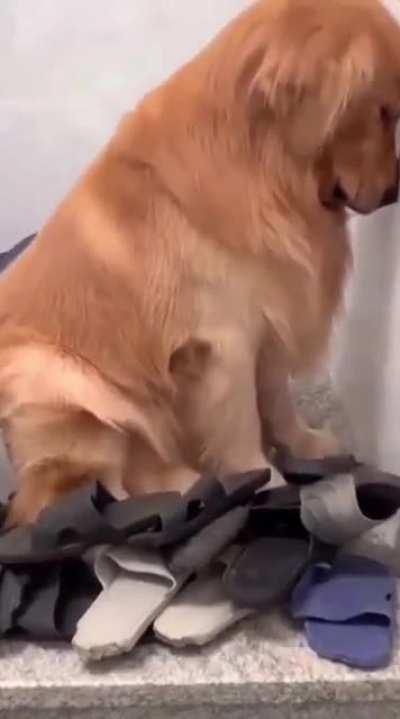 If I was the owner, I'd just go barefoot at this point