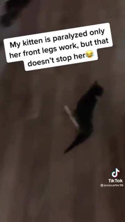 Zooming with the best of them!